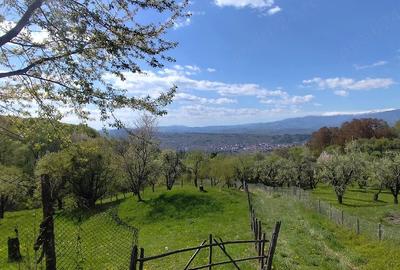 Teren de 3800 mp, în Mioarele - 3