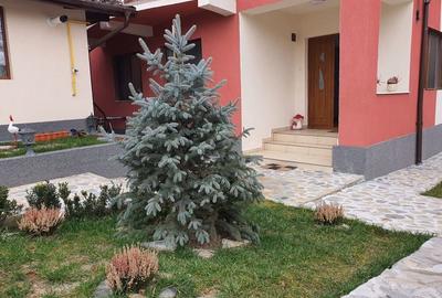 Spațiu comercial, de 159 mp, în Central - 10