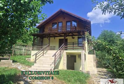 Casă individuală cu 8 camere cu Teren 1160 Mp în Meteș - 1