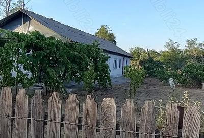 Casă cu 3 camere cu Teren 2069 Mp în Dor Mărunt