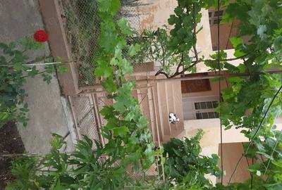 Casă cu 6 camere cu Teren 1401 Mp în Alioș - 5