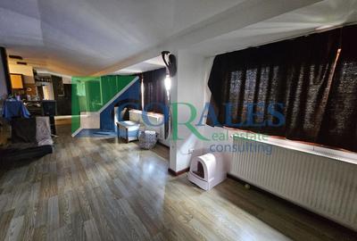 Casă individuală cu 8 camere cu Canalizare în Lipovei - 5