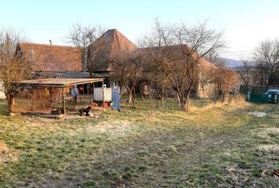 Casă cu 5 camere cu Teren 46000 Mp în Coroi - 2