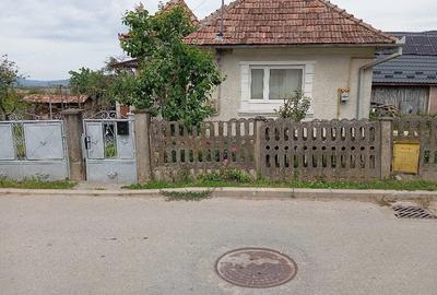 Casă cu 2 camere cu Teren 1843 Mp în Urișor - 4