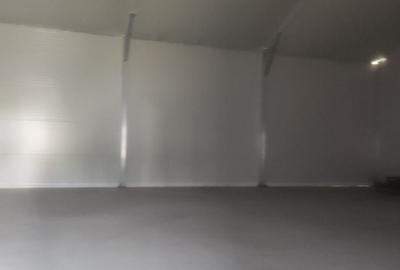 Spațiu industrial, de 590 mp, în Jilava - 2