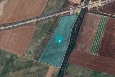 Teren Construcții intravilan de 38226 mp, în Șag - 1