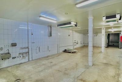 Spațiu industrial, de 850 mp, în Central - 12