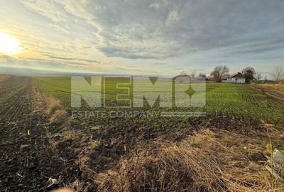 Teren agricol extravilan de 12400000 mp, în Grănicești - 6