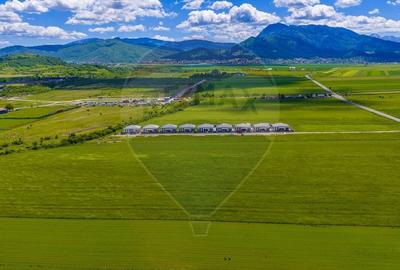Teren Construcții intravilan de 8600 mp, în Tărlungeni - 13
