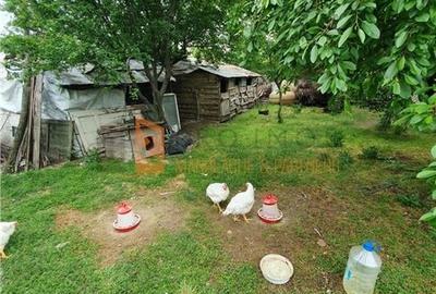 Casă individuală cu 4 camere cu Canalizare în Săgeata - 12