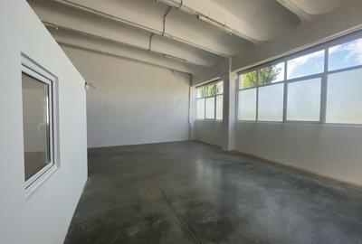 Spațiu industrial, de 425 mp, în Freidorf - 4