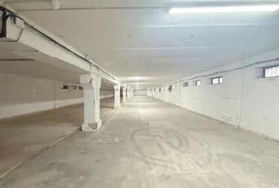 Spațiu industrial, de 1,690 mp, în Fratelia - 16