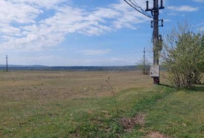 Teren de 2540 mp, în Șimian - 9