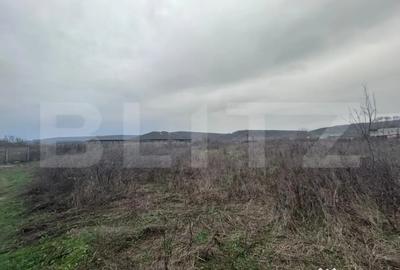 Teren de 10000 mp, în Artego - 1
