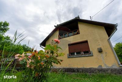 Casă cu 6 camere cu Teren 2143 Mp în Ribița - 17