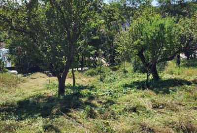 Teren de 1500 mp, în Ilieni