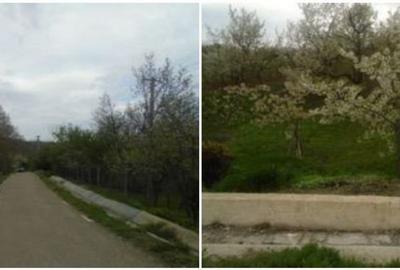 Teren de 2040 mp, în Cândești - 8