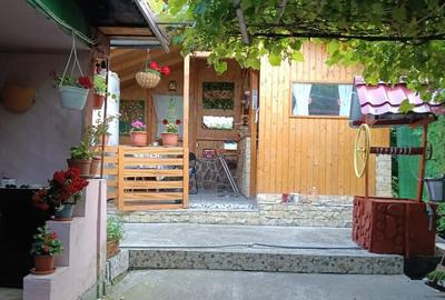 Teren 4137mp si Casa - Targu Ocna - 2
