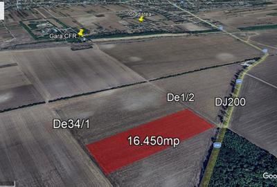 Teren agricol extravilan de 16450 mp, în Grădiștea - 1