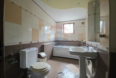 De vanzare proprietate unicat in Sascut - Bacau - 27