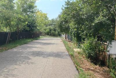 Teren de 2900 mp, în Putineiu - 4