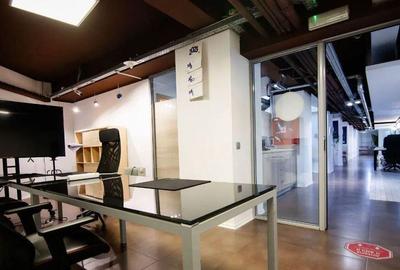 Kiseleff-Piata 1Mai subsol si Parter amenajat si utilat - 22