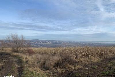 Teren de 7800 mp, în Vicovu de Sus - 7
