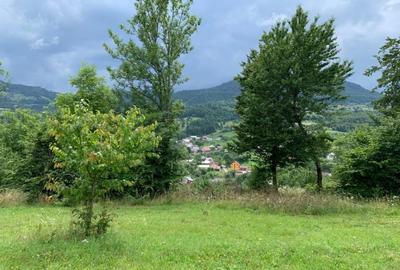 Teren intravilan 5360mp Bistrita Nasaud | Tiha Bargaului - 7