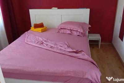Apartament cu 2 camere semidecomandat în Micro 19 - 5