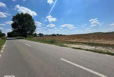 Teren de 5000 mp, în Clinceni - 2