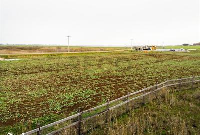 Teren de 5000 mp, în Sânnicolau Român - 5
