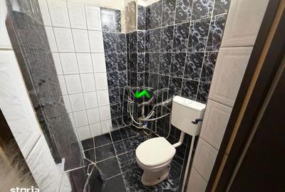 Casă cu 3 camere cu Teren 454 Mp în Terezian - 3