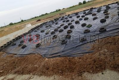 Teren de 40000 mp, în Cenad - 16