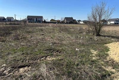 Spațiu comercial, în Șag - 5