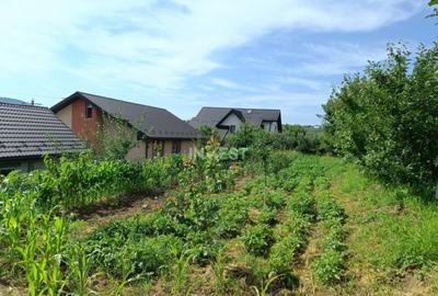 Casa de vanzare, parter 4 camere, garaj, 1424mp teren - Buci - 15