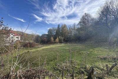 Teren de 13167 mp, în Bughea de Sus