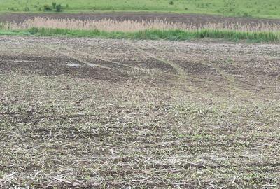 Teren de 1800 mp, în Central - 1