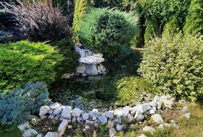 Casă cu 4 camere cu Teren 801 Mp în Livezeni - 2