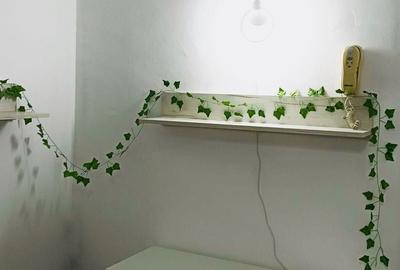 Inchiriere 2 Camere Parcul Carol - 6