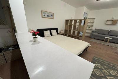 Garsonieră decomandată, mobilată în Nerva Traian - 6