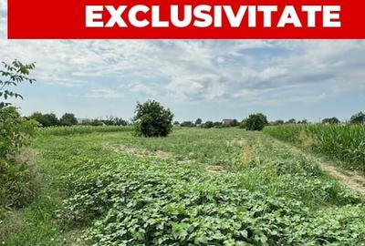 Teren 7.200 mp, de vanzare, loc. Rusi Ciutea, com. Letea Veche, jud. Bacau - 10