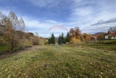 Teren de Vis in Bran - 1000mp Plat, Liniste Absoluta si Aer Curat - 9