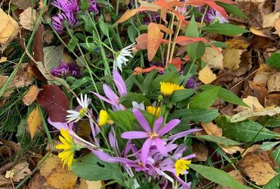 Spațiu comercial, în Podul Vadului - 3