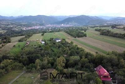 Teren intravilan 1000mp Tropinii Noi - 3