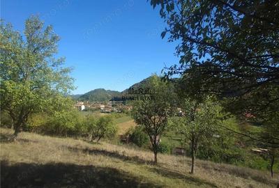 Teren de 1274 mp, în Criș - 5