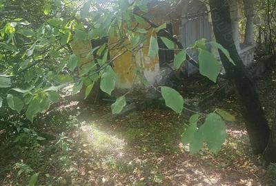 Teren de 1113 mp si casa batraneasca in comuna Mihaesti jude?ul Valcea - 8