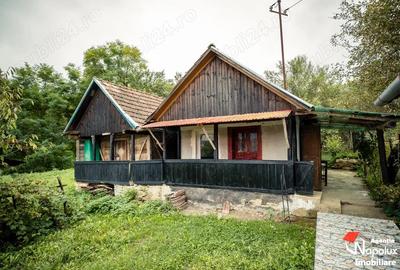 Proprietate cu poten?ial! Casa finisata ?i teren 2000 mp Mure?enii de Campie - 4