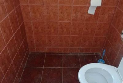 Inchiriez proprietate in Deva, zona ultracentrala (Ion Creanga), doua usi de acces, 140 mp - 2