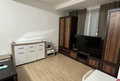 Garsonieră semidecomandată în Olteni - 4