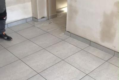 Casă cu 3 camere în Santăul Mare - 1